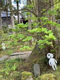【石川×ゆのくにの森】茅葺き屋根の古民家や自然豊かな背景も楽しめます。