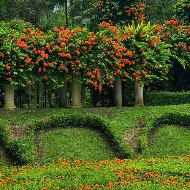 倫披尼公園·曼谷城市中的綠洲