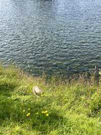 Spring Strolls Along Inverness Riverside