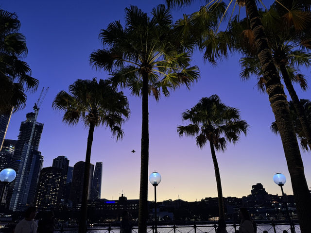 Trip in Sydney