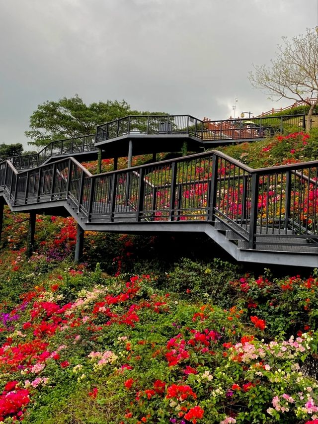 Shenzhen Yulong Park– A Hidden Oasis in the Urban Jungle
