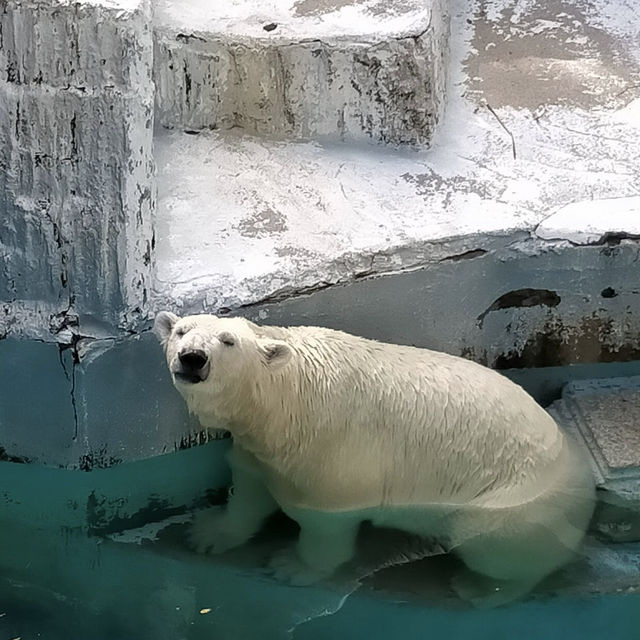 天王寺動物園（Tennoji Zoo） 