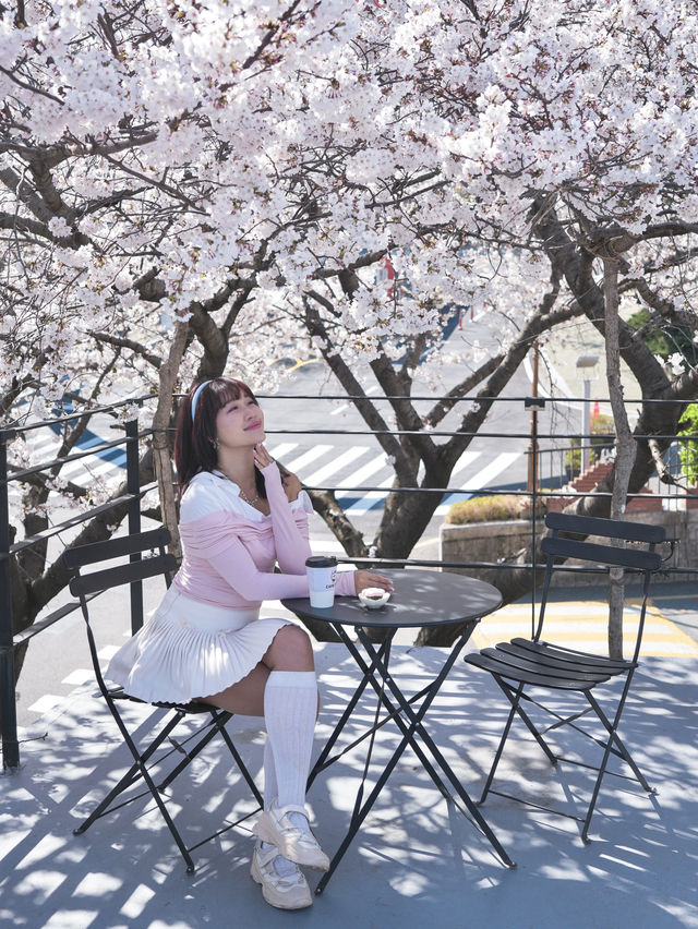 釜山🇰🇷超澎拜櫻花露台咖啡廳🌸