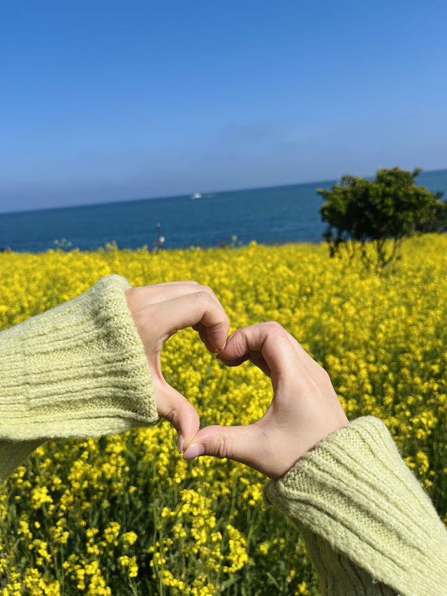 울산 숨은 꽃놀이스팟