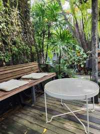 SIT UNDER TREE  Special Coffee & Home Roasters