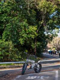駒沢公園をゆったり散策してみる🌳