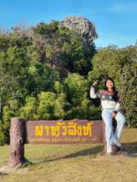 ผาหัวสิงห์: จุดชมวิวสุดอลังการดอยเสมอดาว! ⛰️