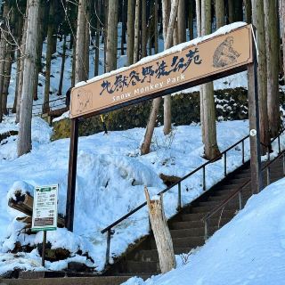 ❄️🐒 **Jigokudani Snow Monkey Park: A Winter Wonderland in Japan** 🐒❄️