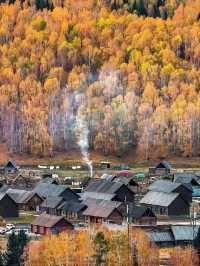 Golden Silence: Discovering Hemu in Autumn