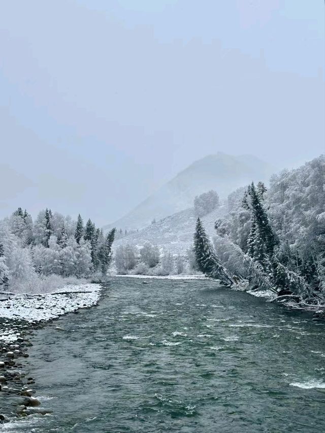 Snow-Kissed Hemu: A Hidden Gem in Xinjiang