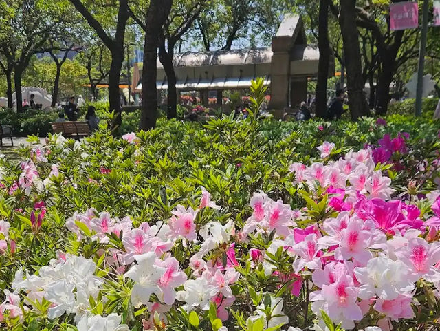 Daan Forest Park