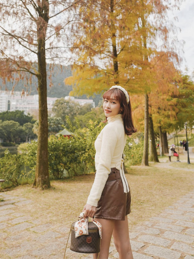 香港🇭🇰中文大學落羽松秘境🍂