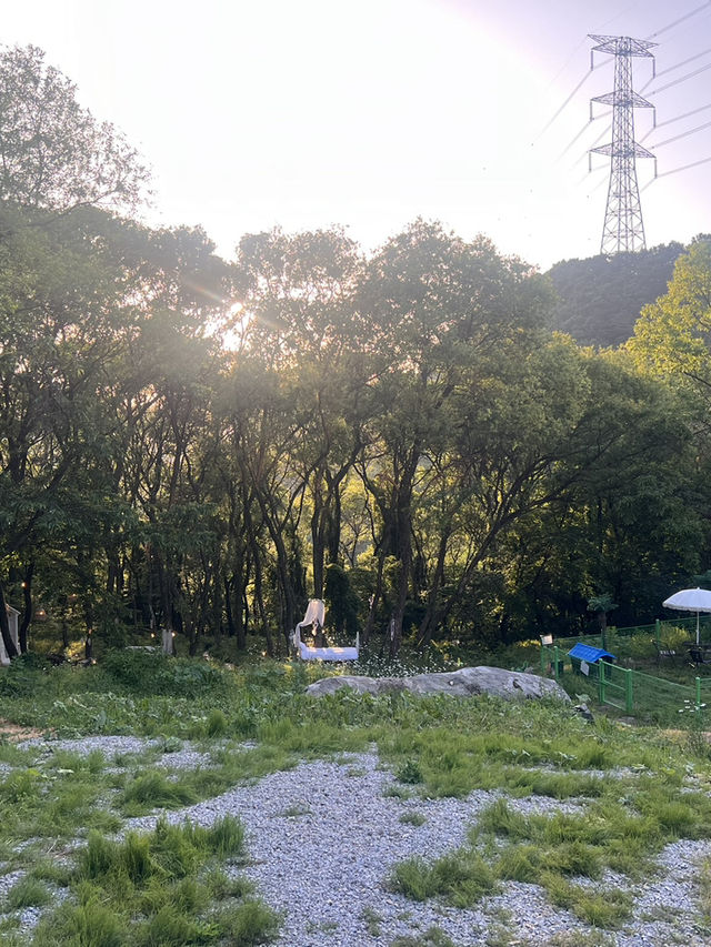 대전 근교 5월달 꼭 가야하는 공간