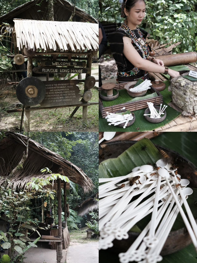 🌿Kota Kinabalu Hidden Gem: A Jungle Cultural Experience at Mari Mari Cultural Village