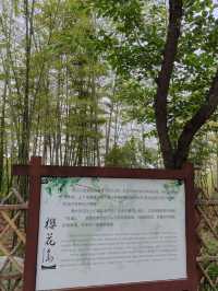 很舒適，很寫意的一個公園