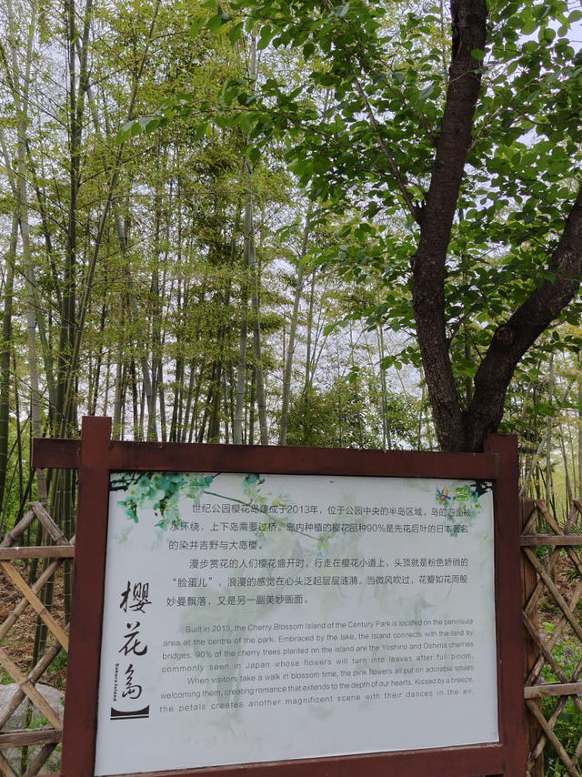 很舒適，很寫意的一個公園
