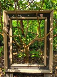 Fort Canning Park