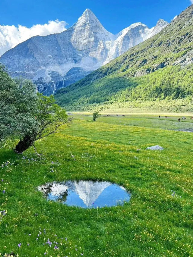 Yuke Grassland – A Hidden Paradise in Sichuan! 🏔️