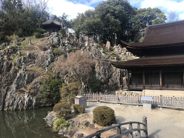 虎渓山町の桜と永保寺（岐阜県多治見市）