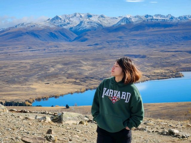 Astro Café Tekapo: Sipping Coffee Above the Clouds☕️🍰