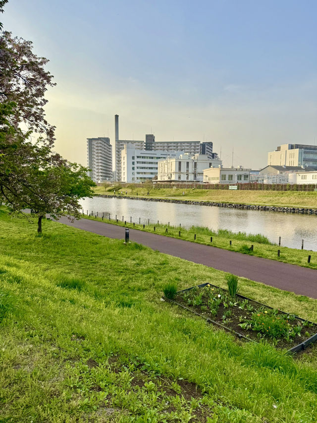 Spring Stroll at Sumida Kuritsu Kyunakagawamizube Park