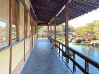 絕美靜謐大仙公園日本庭園🌿