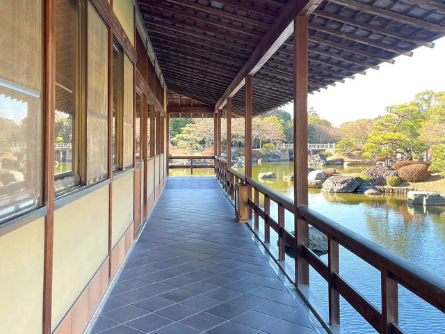 絕美靜謐大仙公園日本庭園🌿