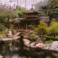 Tranquility Amidst the City: A Visit to Nan Lian Garden