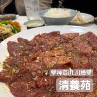 【食べ歩き】神奈川 川崎 清養苑 昔ながらの雰囲気で味わう絶品焼肉