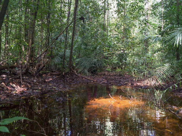 Exploring Sungai Kapur: Lahad Datu’s Hidden Riverine Escape