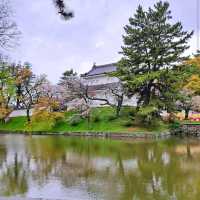 Tsuchiura Sakura Festival, Ibaraki