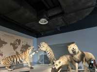 ชวนเที่ยว Shanghai natural history museum