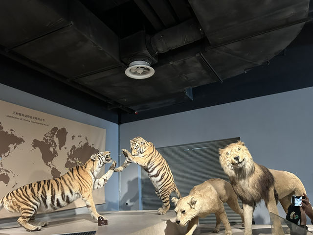 ชวนเที่ยว Shanghai natural history museum