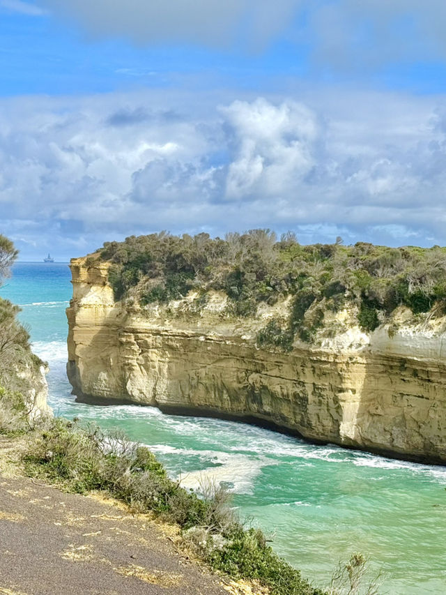 Day Tour in Great Ocean Road
