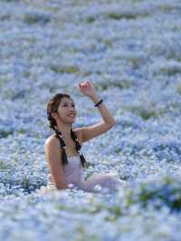 4月去福岡不要錯過這片春日花海