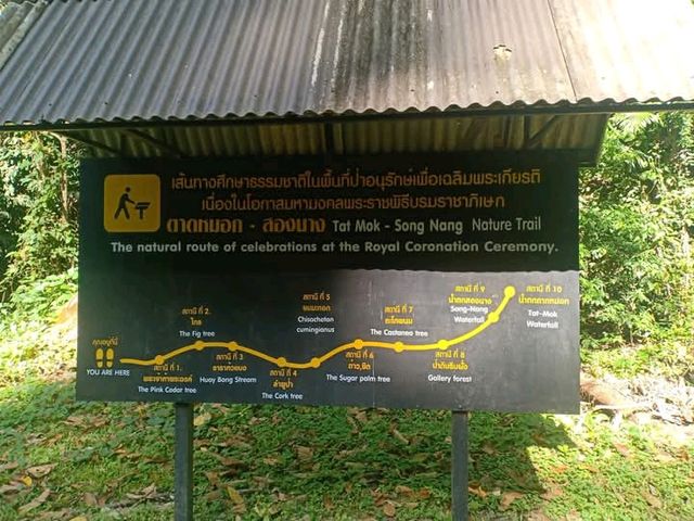 น้ำตกตาดหมอ เพชรบูรณ์
