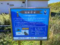 北の大地の果てに立つ！礼文島「元地灯台」で感じる孤高の絶景🌊