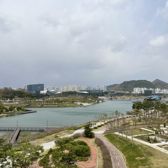 탁 트인 공간에서 바라보는 세종호수공원의 모습🏞️