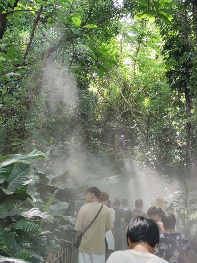 植物種類繁多的廈門園林植物園