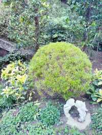 香港｜紅棉路婚姻登記處