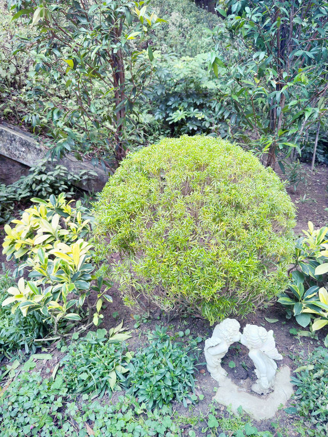 香港｜紅棉路婚姻登記處