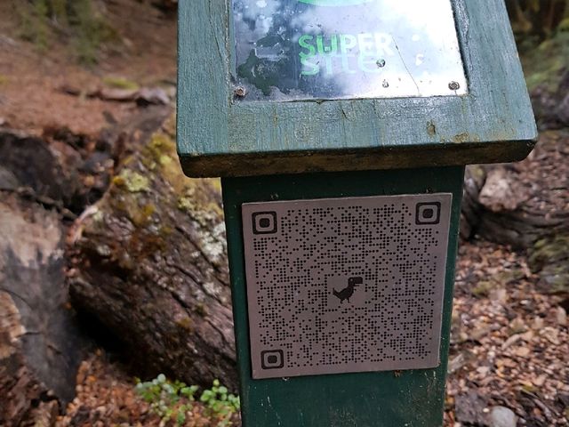 Kepler Track - one of New Zealand’s nine great walks,