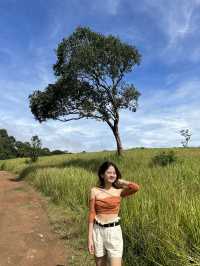 Khao Yai National Park