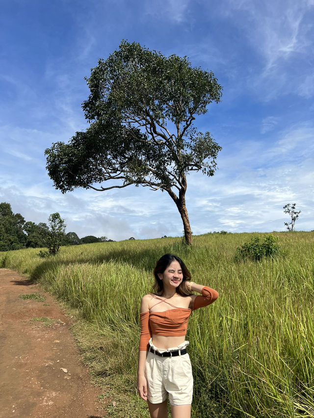 Khao Yai National Park
