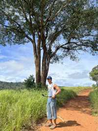 Khao Yai National Park