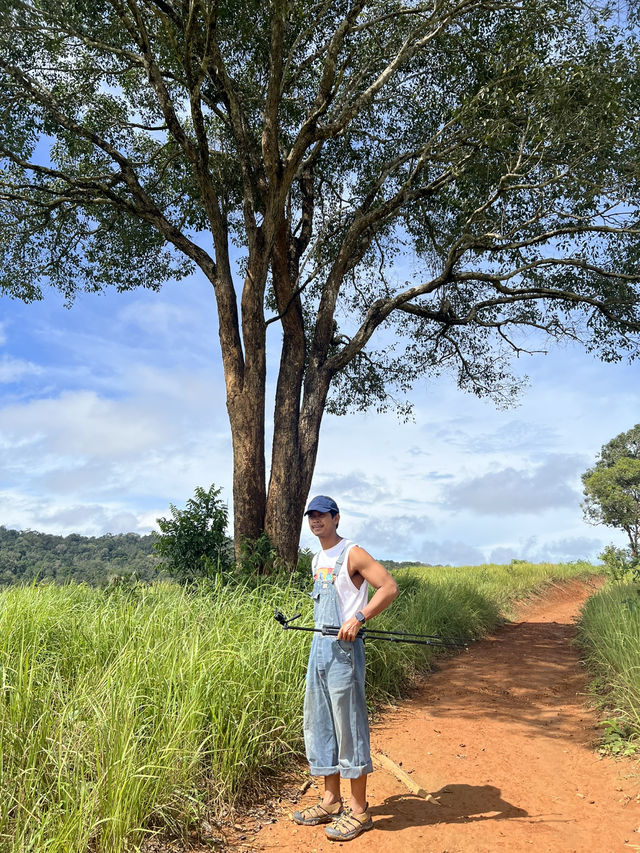Khao Yai National Park
