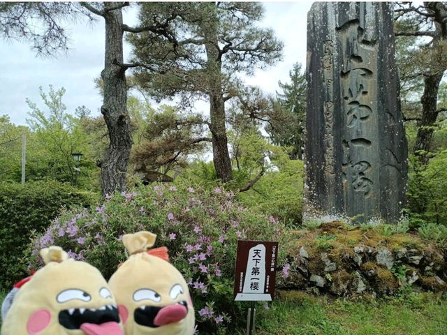 Takato Joshi Park, Nagano
