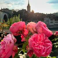 🏰 Weekend Escape to Bern, Switzerland: Medieval Charm, River Views & Swiss Delights