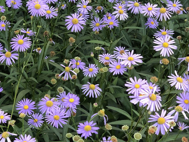 제천에서 만나는 힐링 여정🍂 묵은지 닭도리탕부터 성지 산책, 숲속 리조트까지
