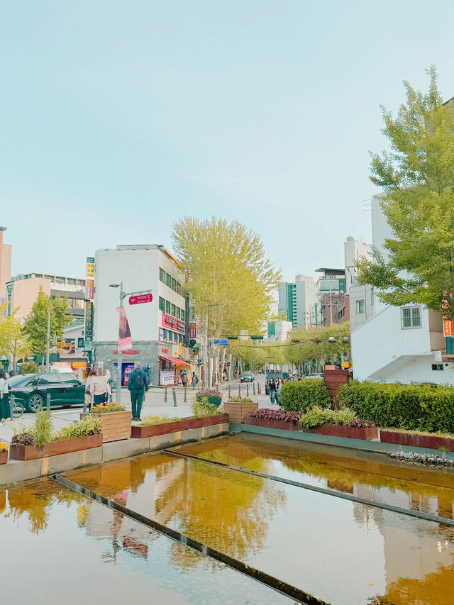 서울 여행 핫플 추천🌳